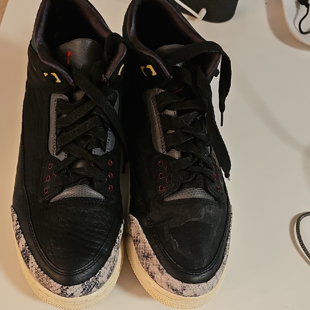 Jordan 3 Retro SE Animal Instinct
